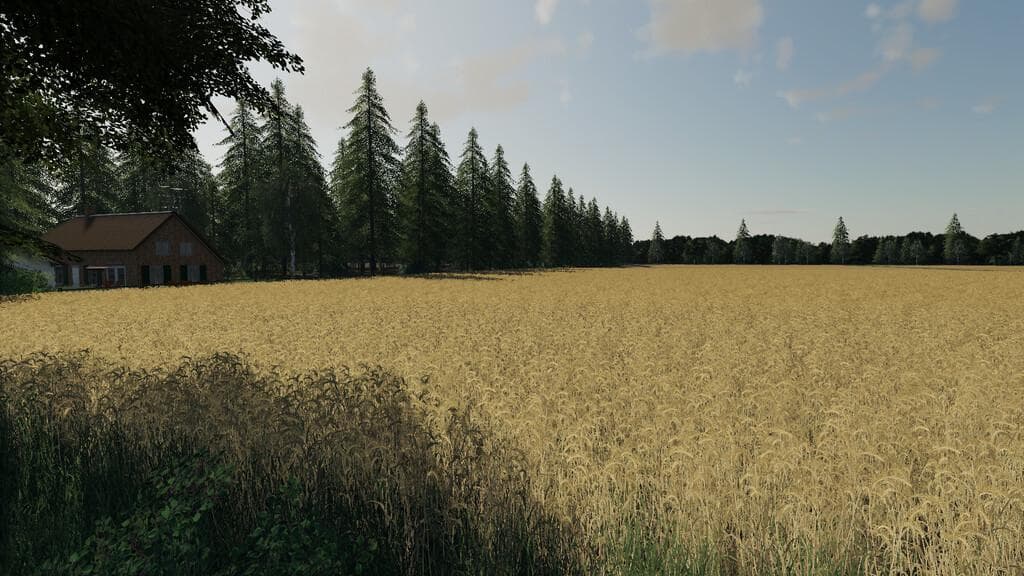 HOLLANDSCHEVELD MAIZEPLUS 2