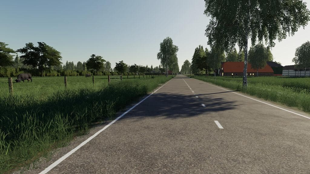 HOLLANDSCHEVELD MAIZEPLUS