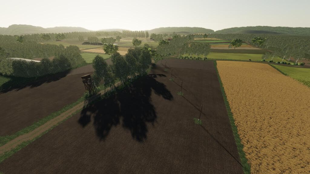 HOMESTEAD ECONOMY