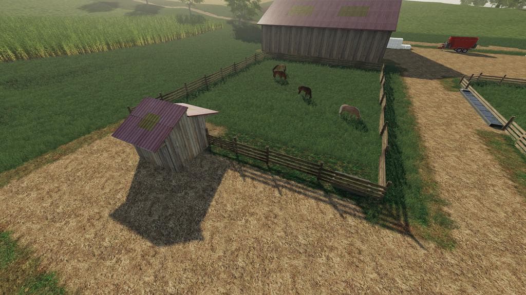 HORSE HUSBANDRY 3