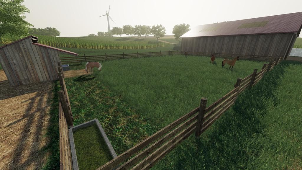 HORSE HUSBANDRY 2