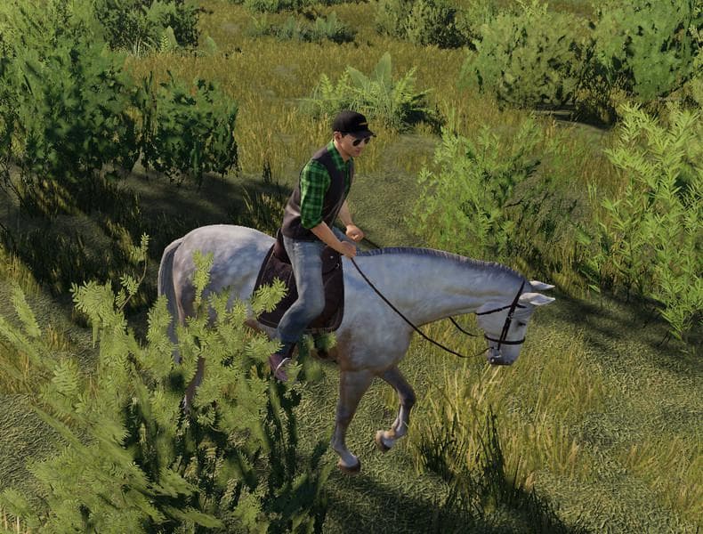 HORSE