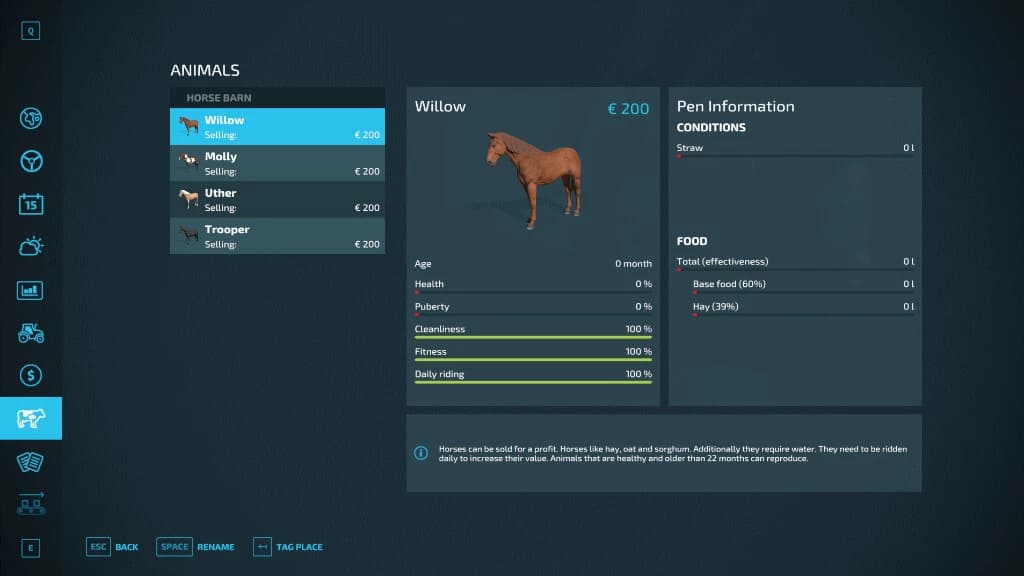 HORSE HELPER 3