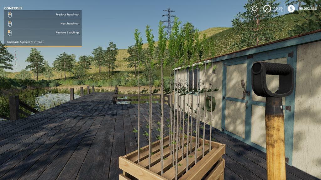 Hand Plant Saplings 3