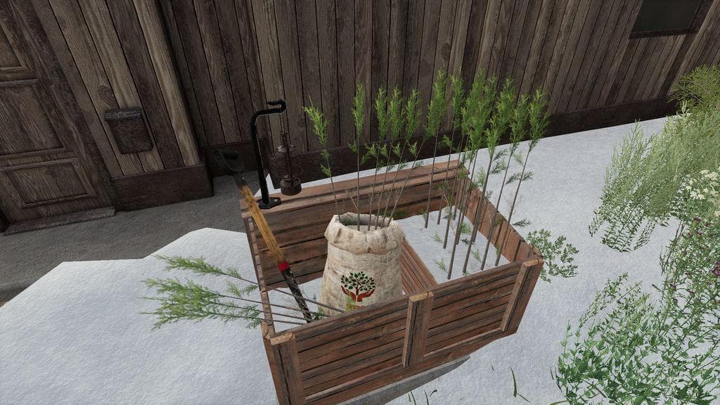 Hand Plant Saplings