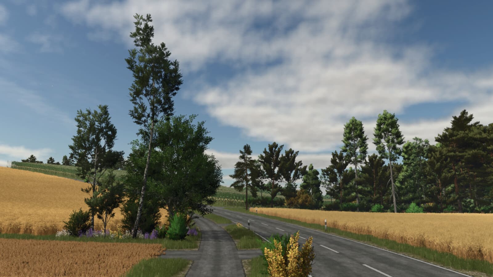 Holzach 2