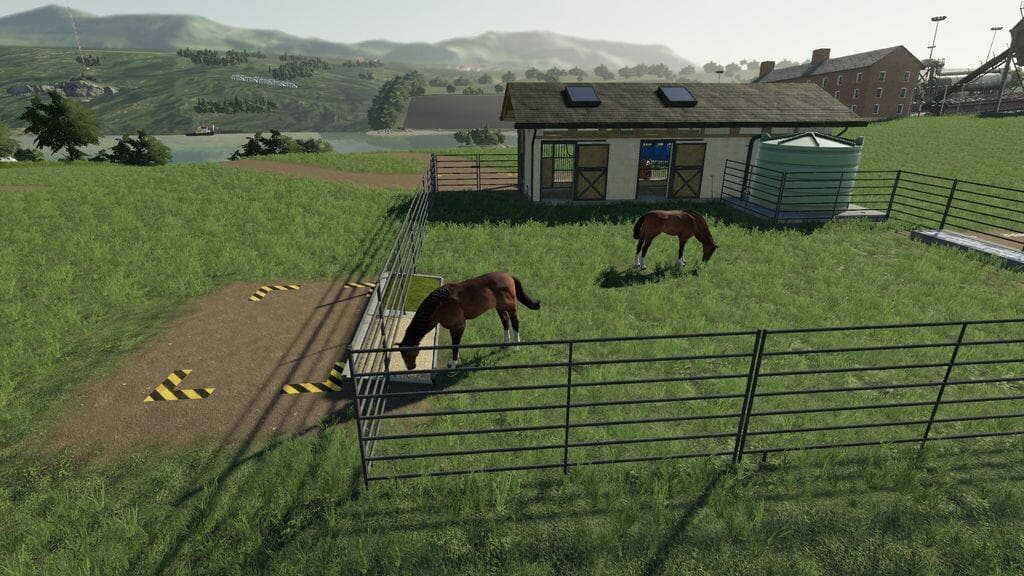 Horse Breeding 4
