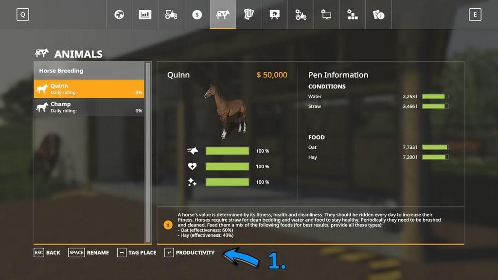 Horse Breeding 3