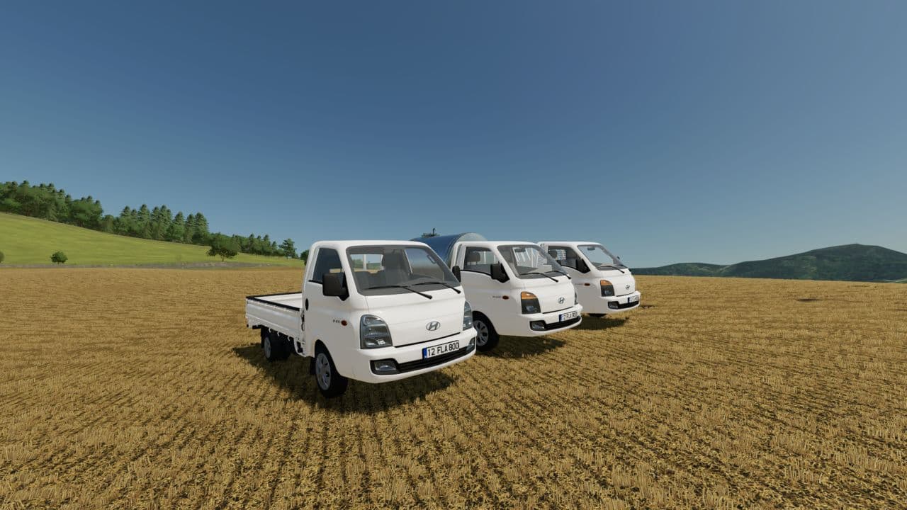 Hyundai H100
