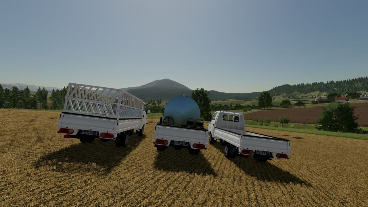 Hyundai H100 2