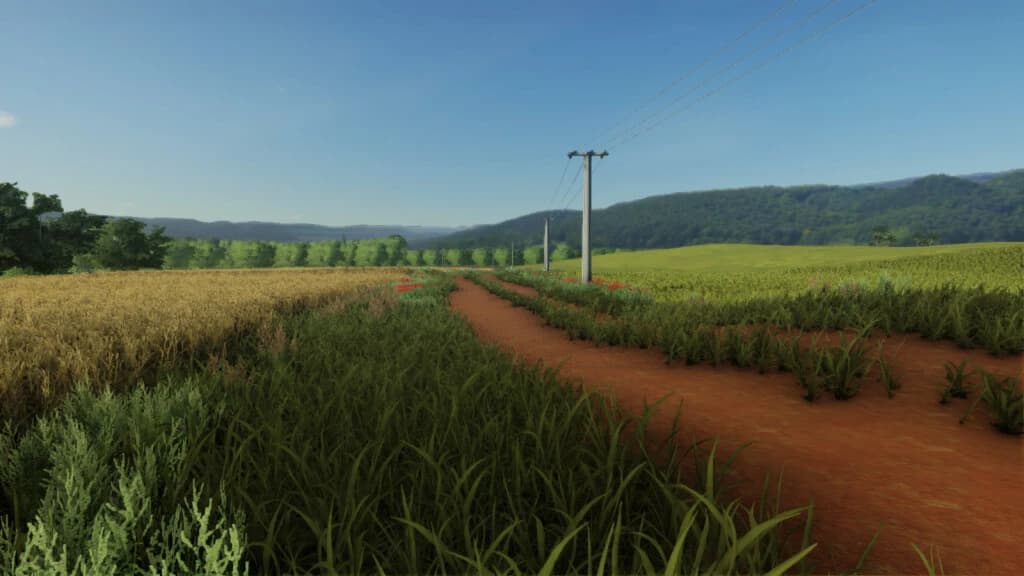 IBIS FARM 5