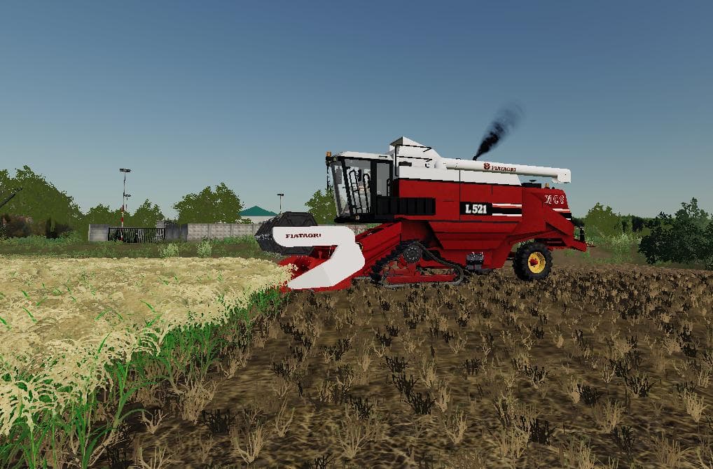 ITALIAN RICE - REIS - RISO - 2