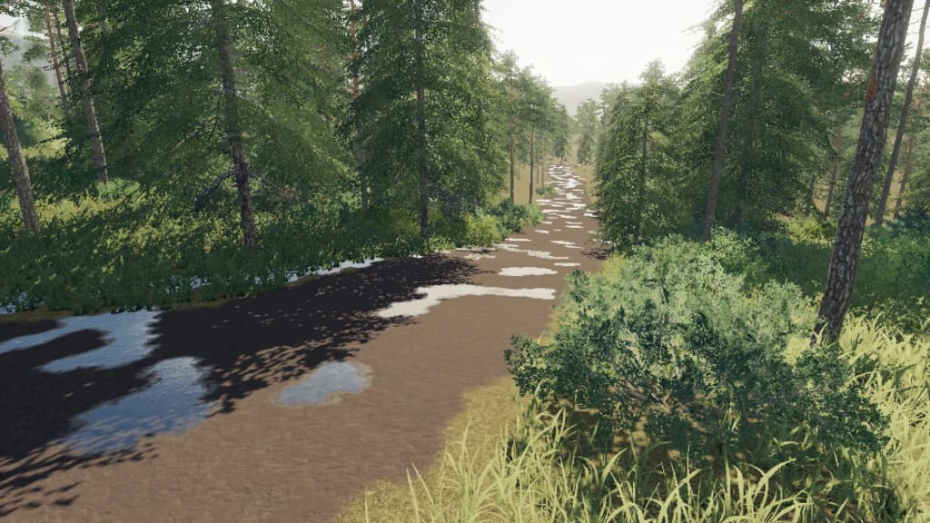 JACK PINE 3