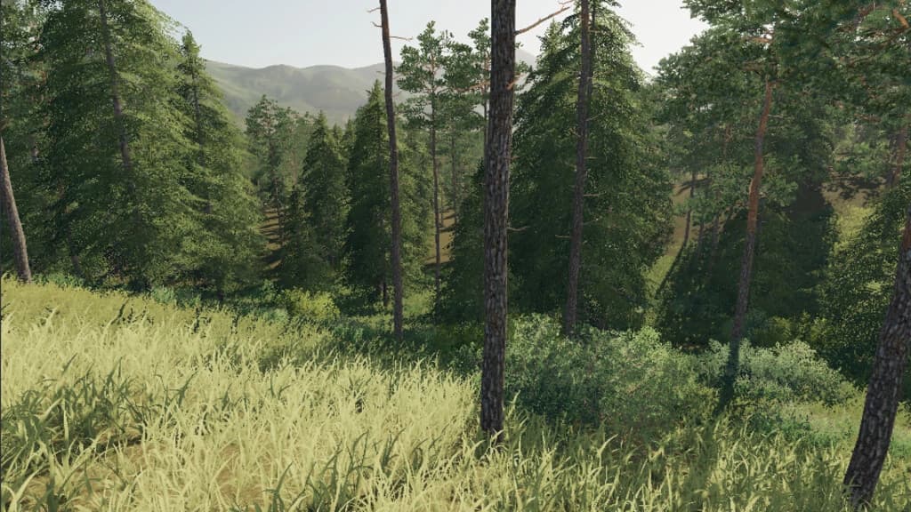 JACK PINE