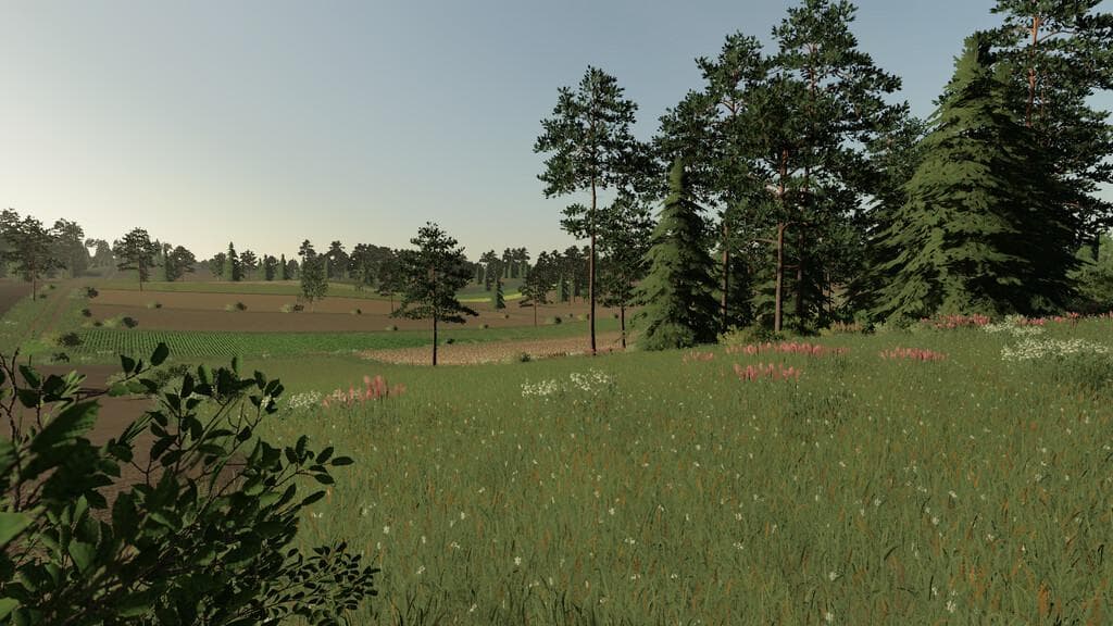 JASMINOWO MAP 5