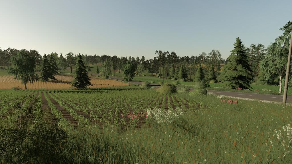 JASMINOWO MAP 3