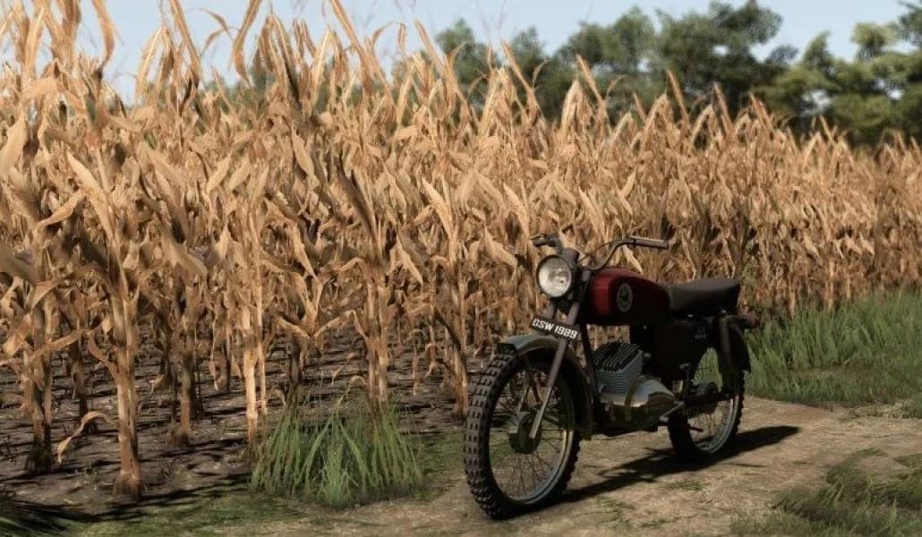 JAWA MUSTANG VIP