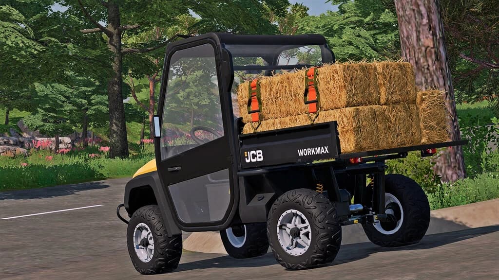 JCB WORKMAX 800D 2