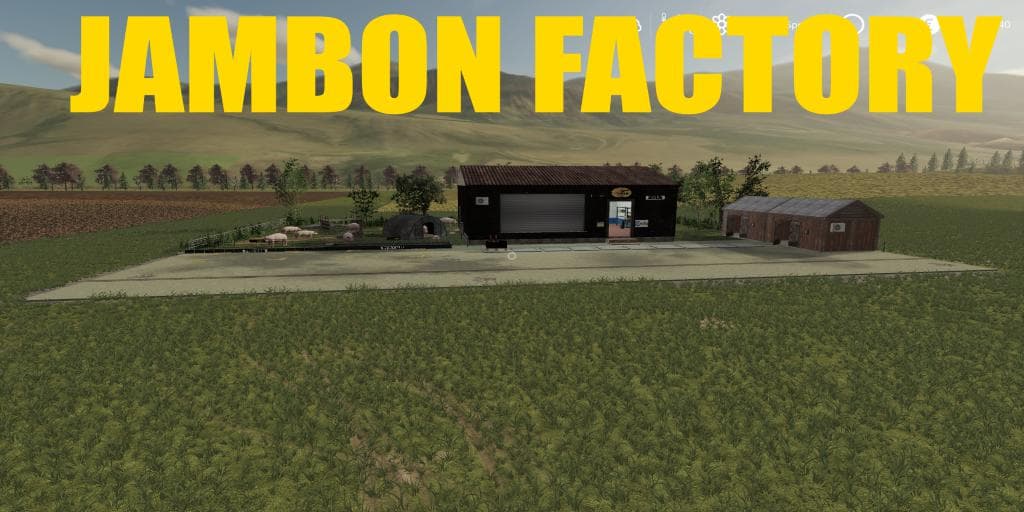JAMBON PRODUCTION 5