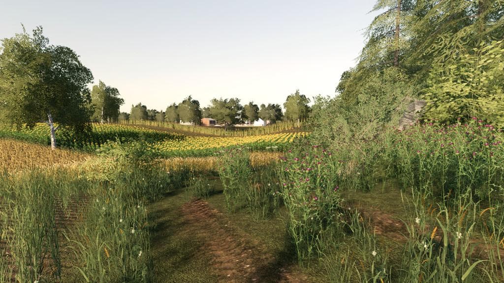 KAMINKI MAP