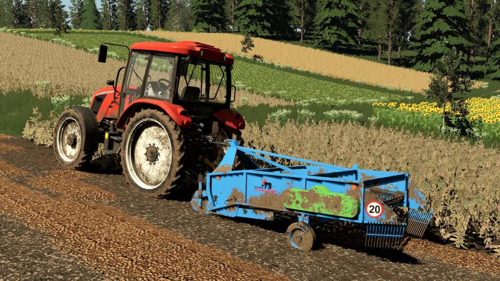 KFMR KRUKOWIAK PYRUS Z653 2
