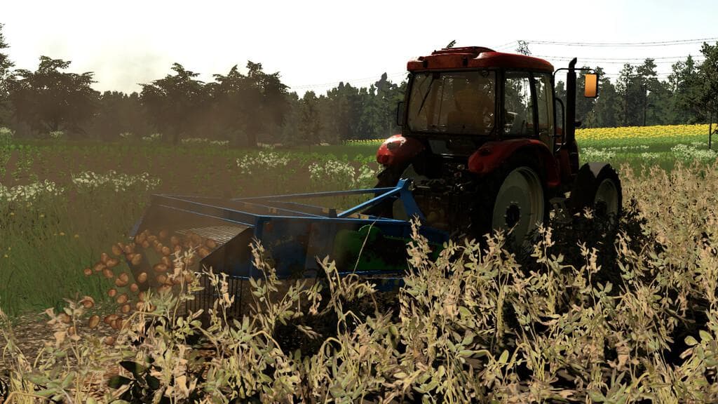 KFMR KRUKOWIAK PYRUS Z653