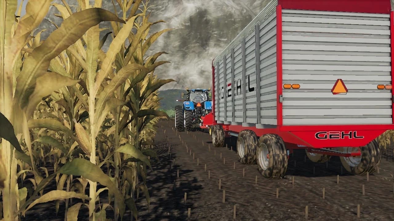 KNIGHT FARMS 4