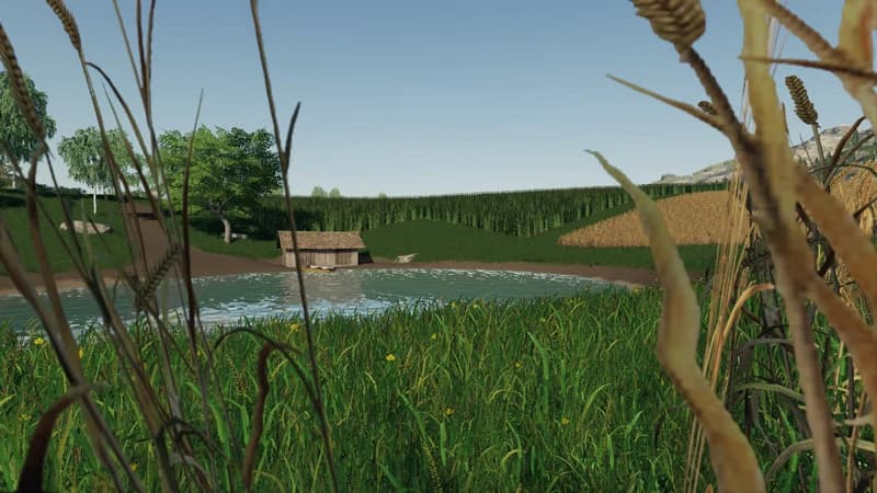 KOLBENFETZER MAP 2