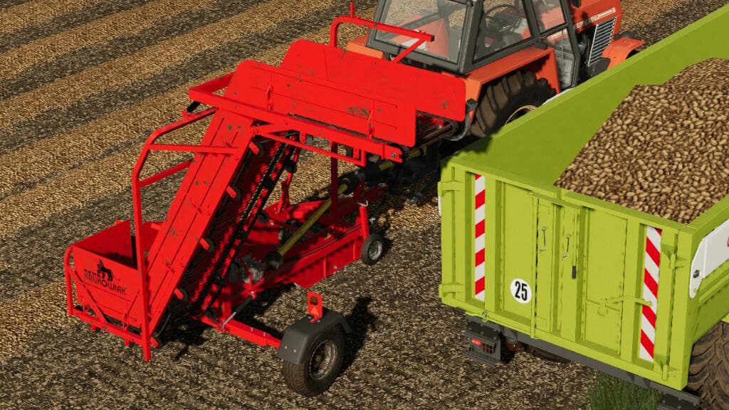 KRUKOWIAK Z437 3