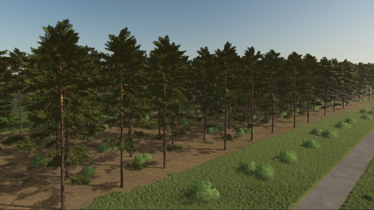 Kotowo 5