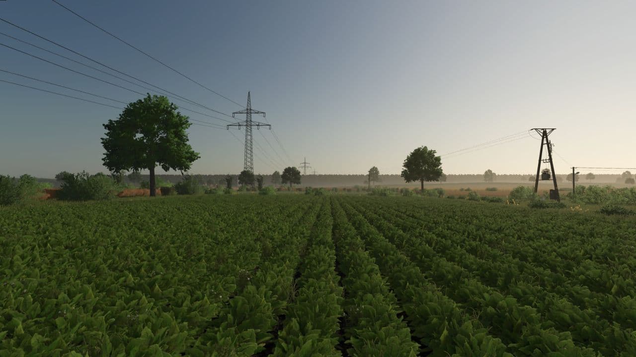 Kotowo 3