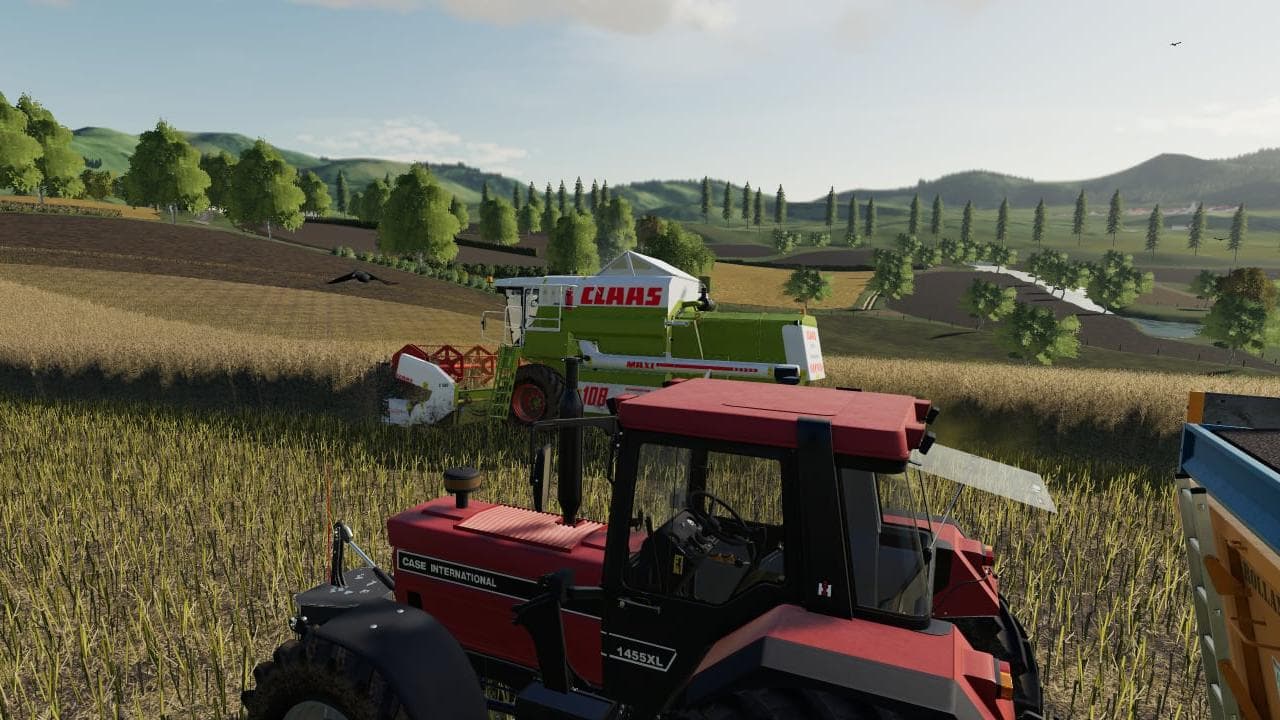 LA FERME LIMOUSINE 4