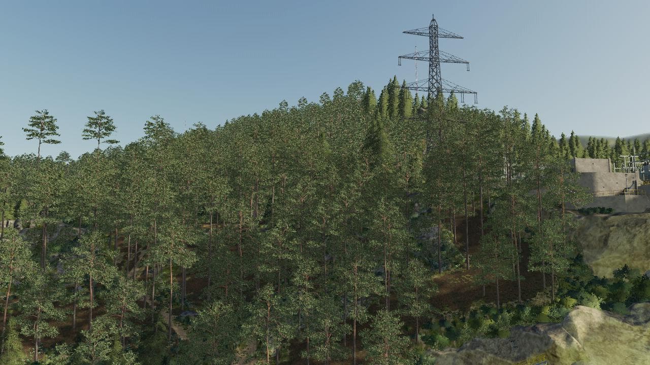 LA VALLEE FORESTIERE 5