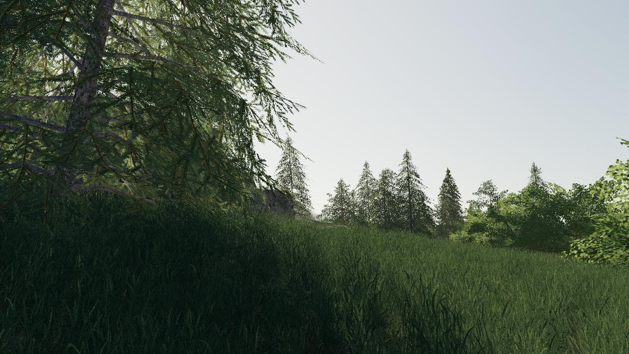 LA VALLEE FORESTIERE