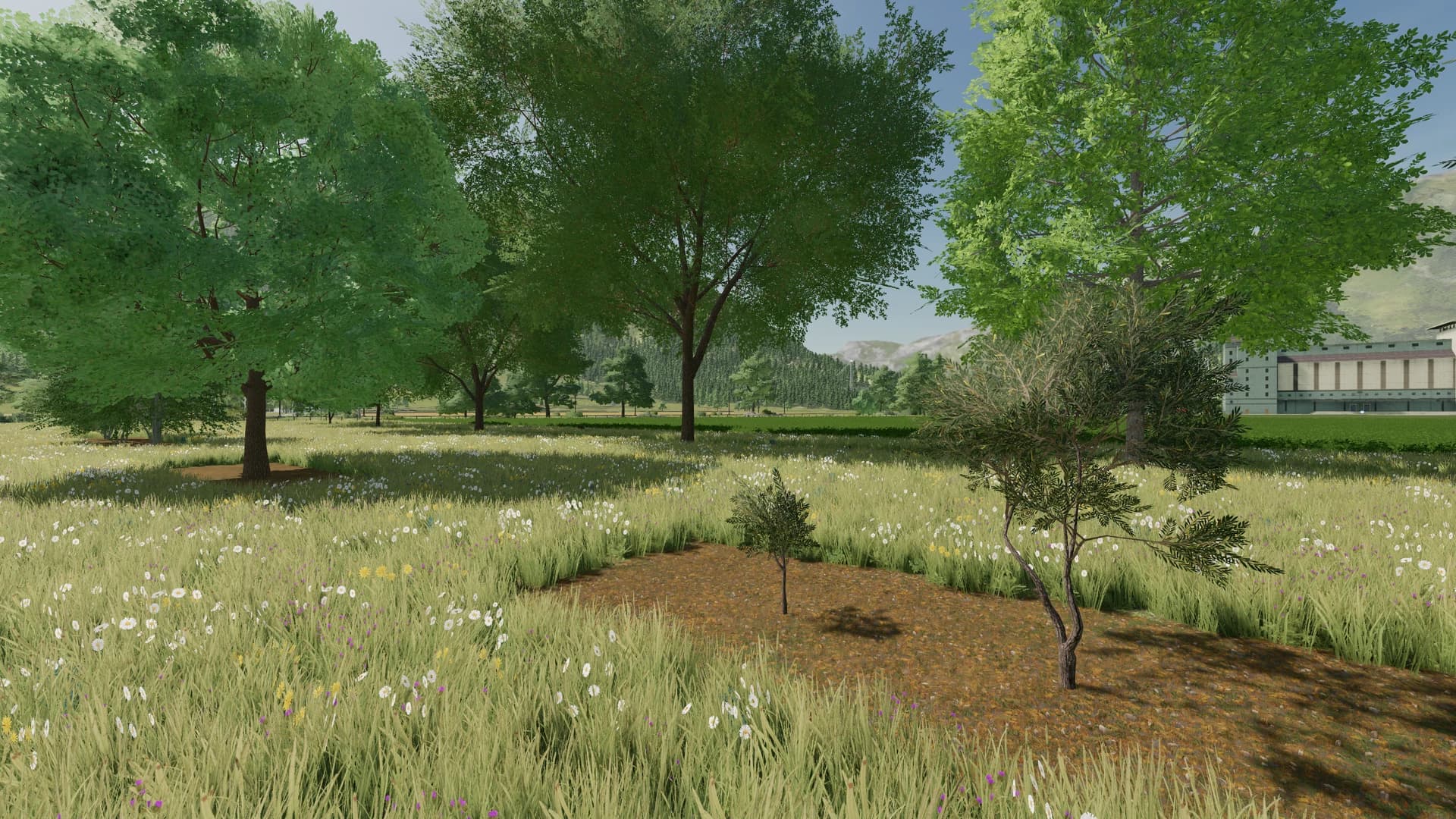 LANDSCAPING DE 4