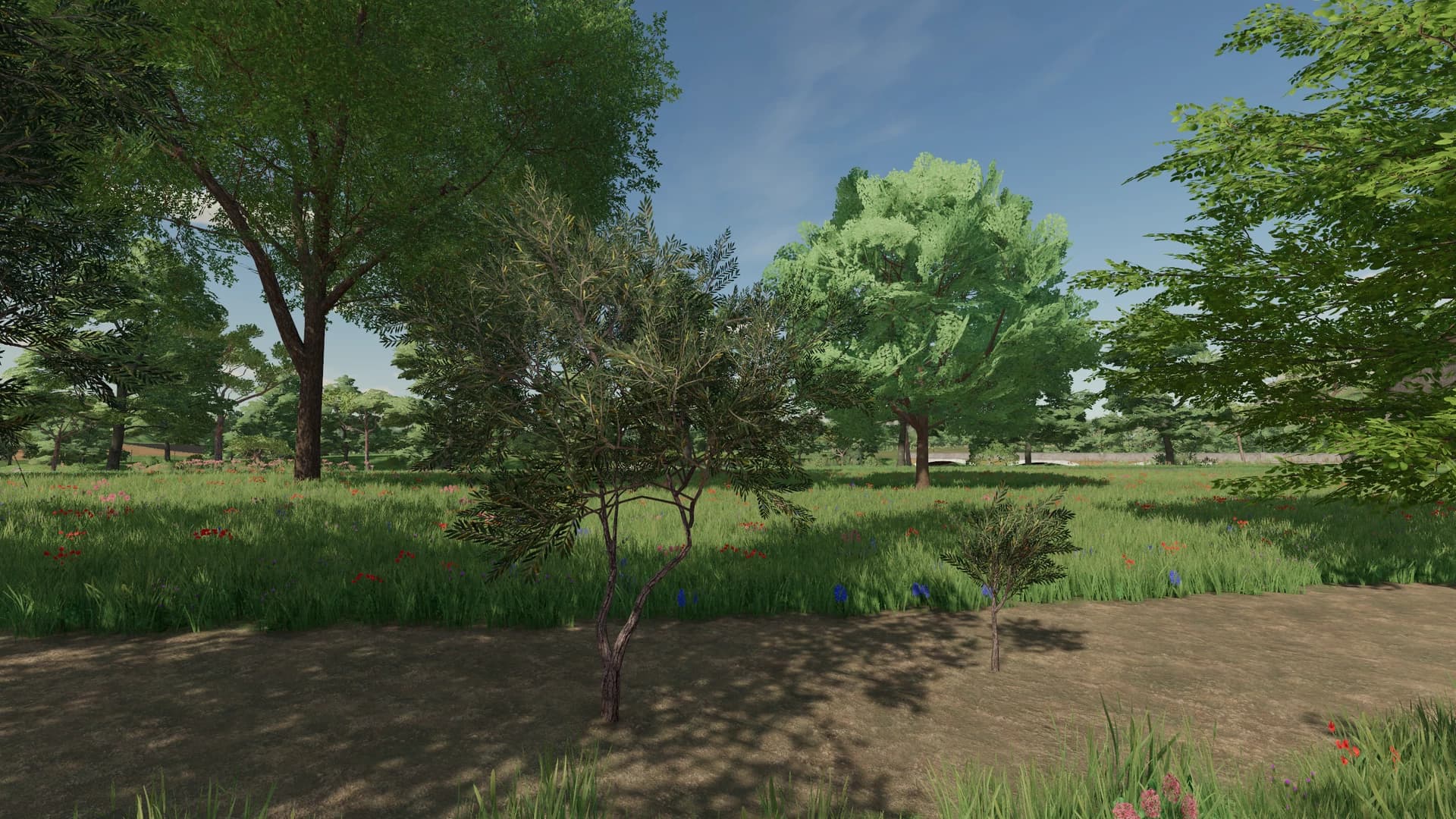 LANDSCAPING FR 4