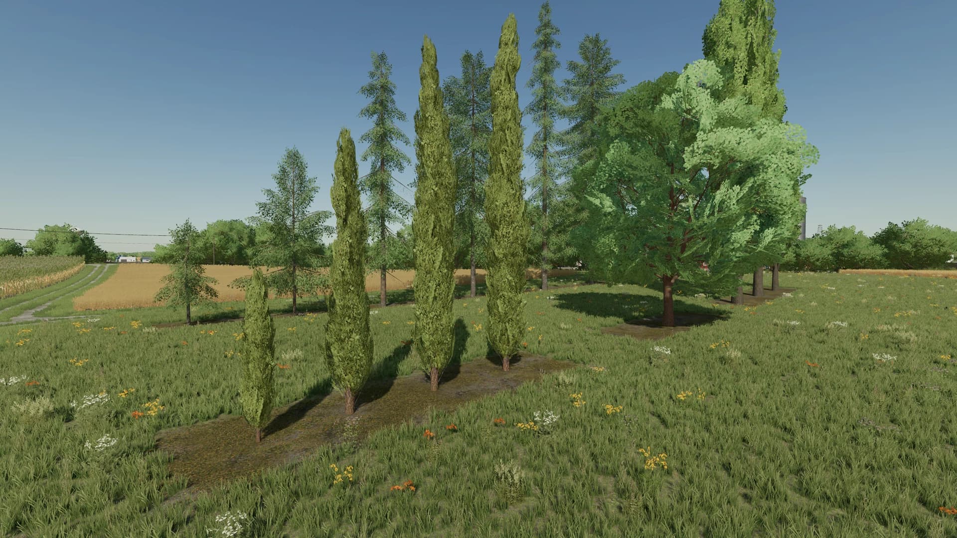 LANDSCAPING US 3