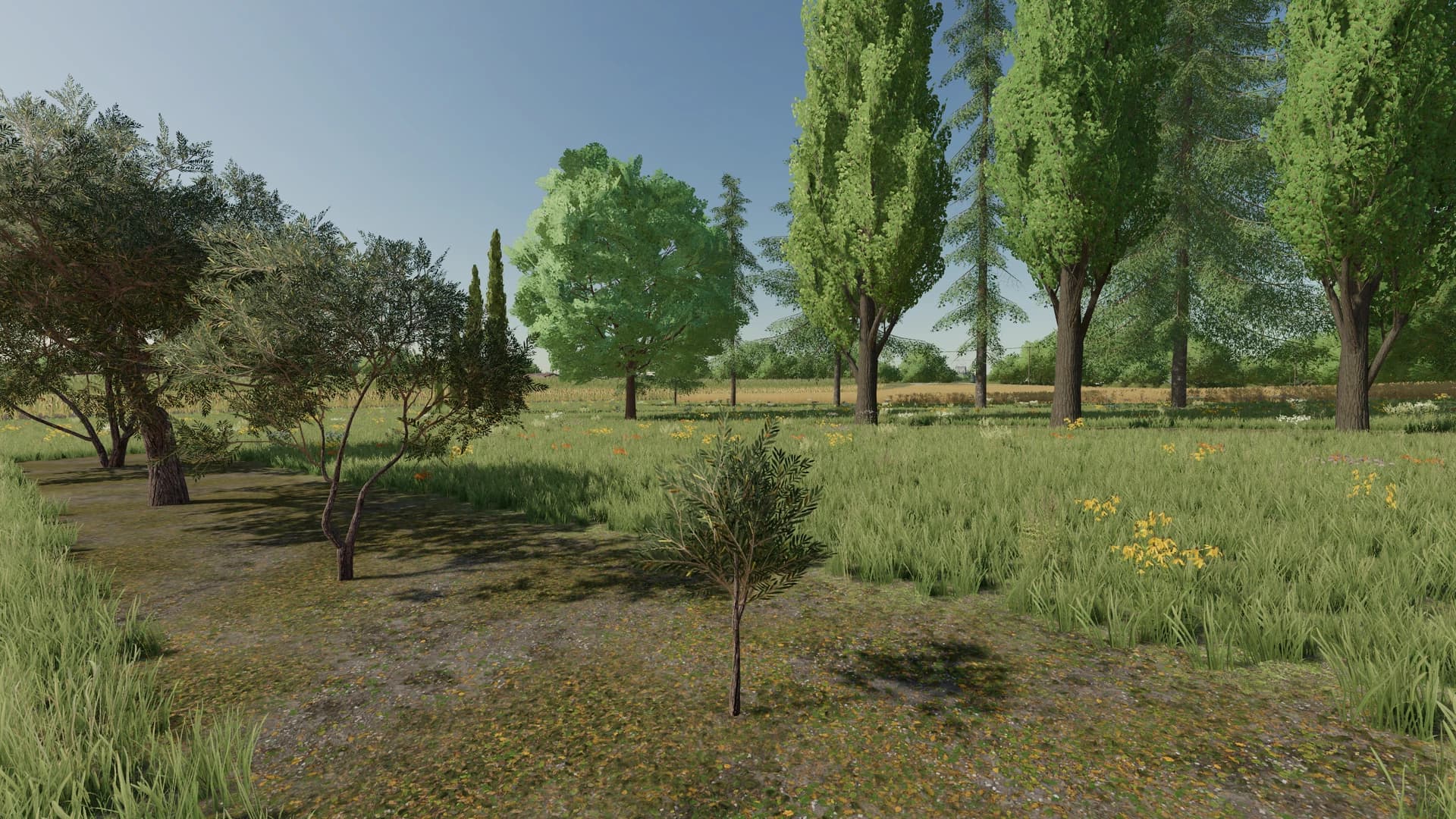 LANDSCAPING US 2