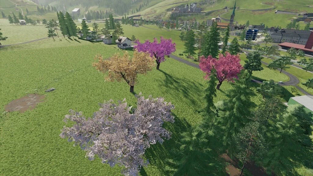 LAPACHO TREES 3