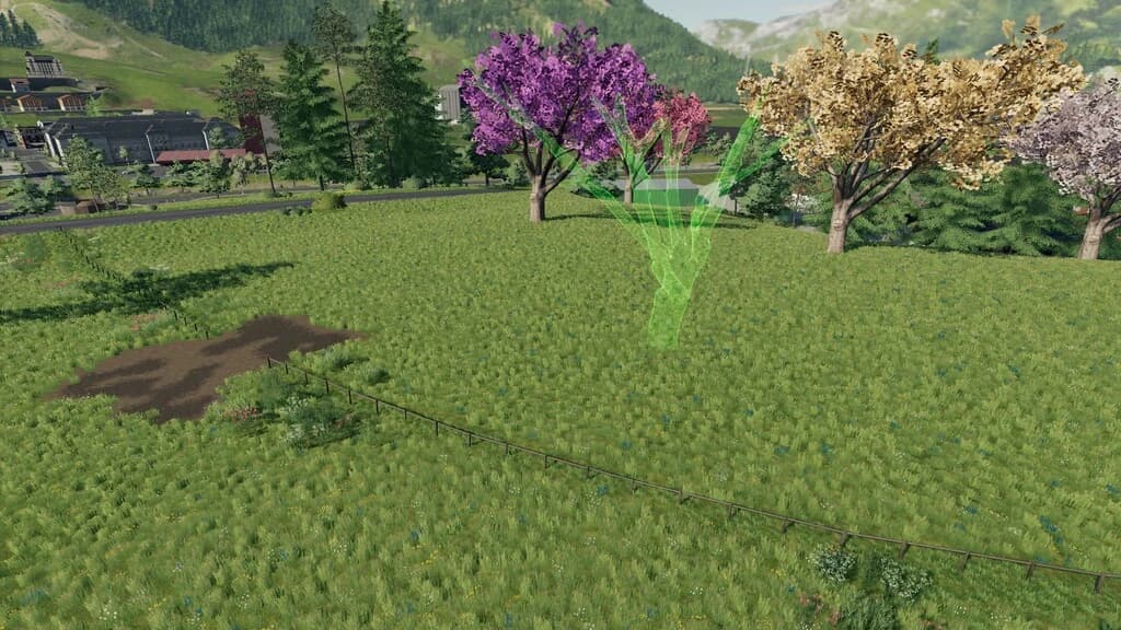 LAPACHO TREES