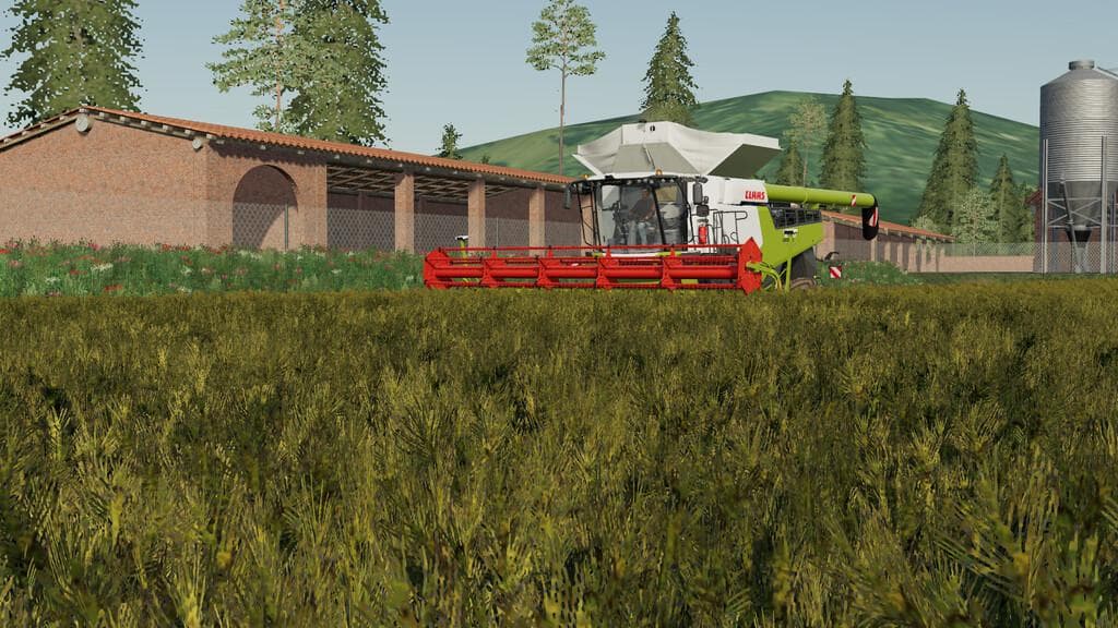 LE RISAIE DEL NORD 3