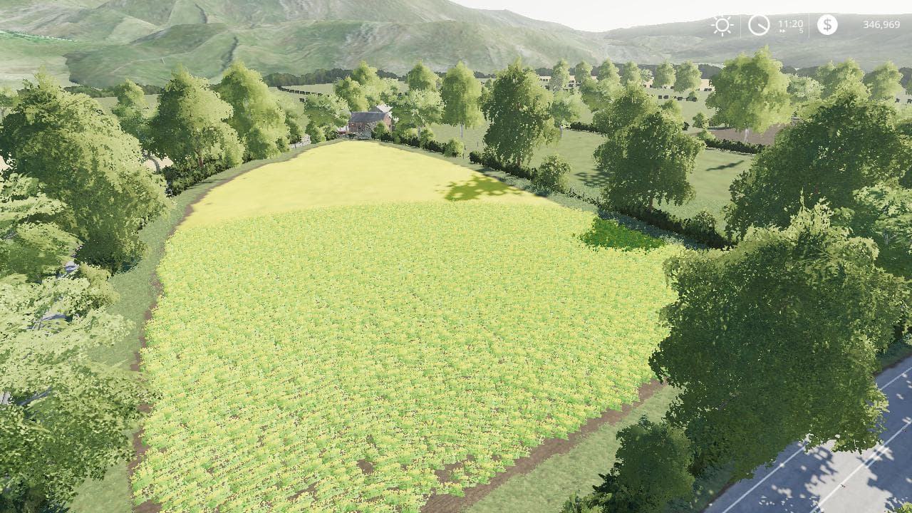 LETTON FARM 4