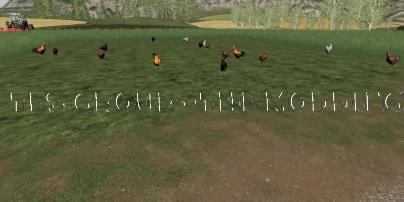 LIBERTY CHICKEN