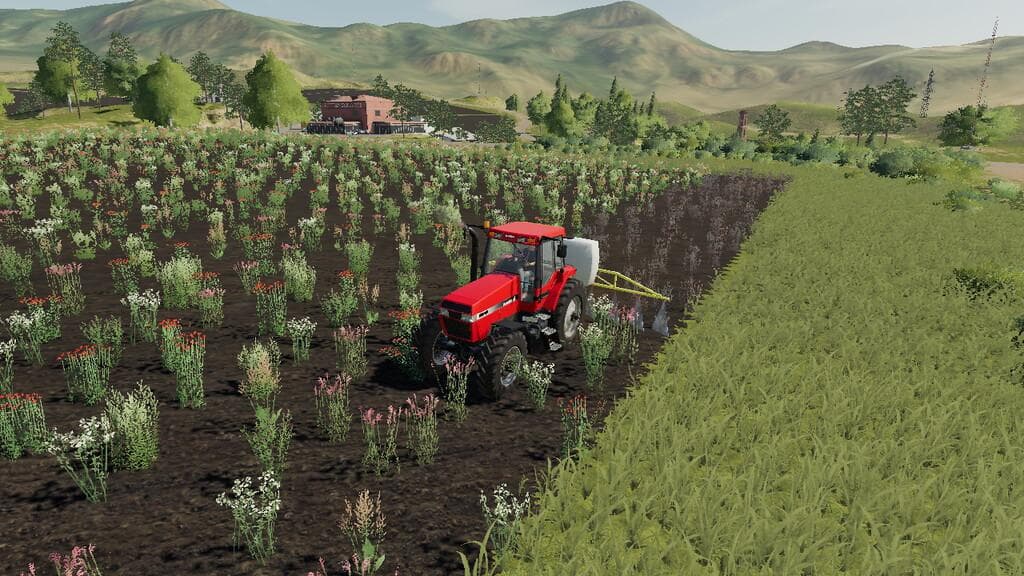 LIZARD 200 SPRAYER 2