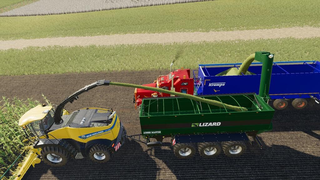 LIZARD AUGER MASTER 4