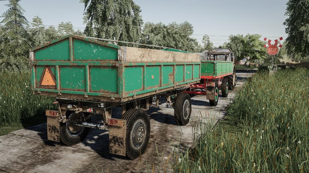 LIZARD D35 5