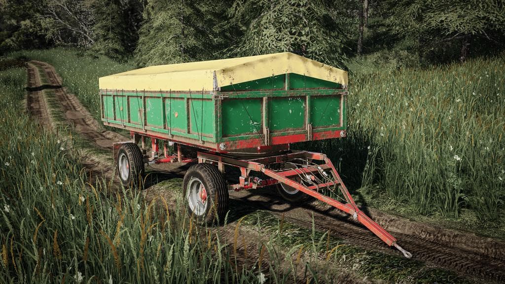 LIZARD D35 2