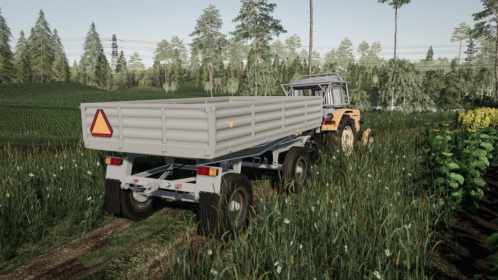 LIZARD D46-D47 PACK 4
