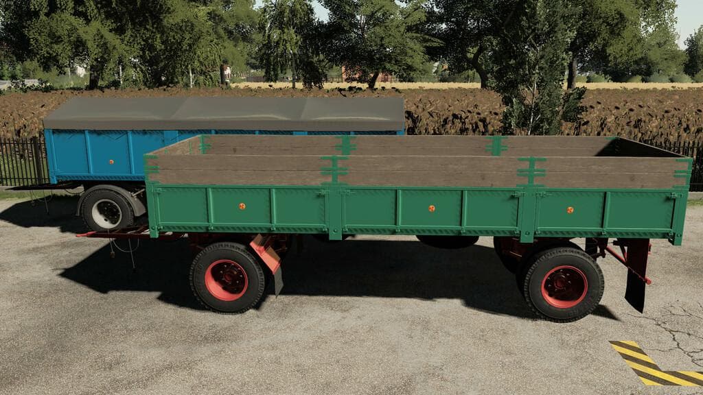 LIZARD D616 5