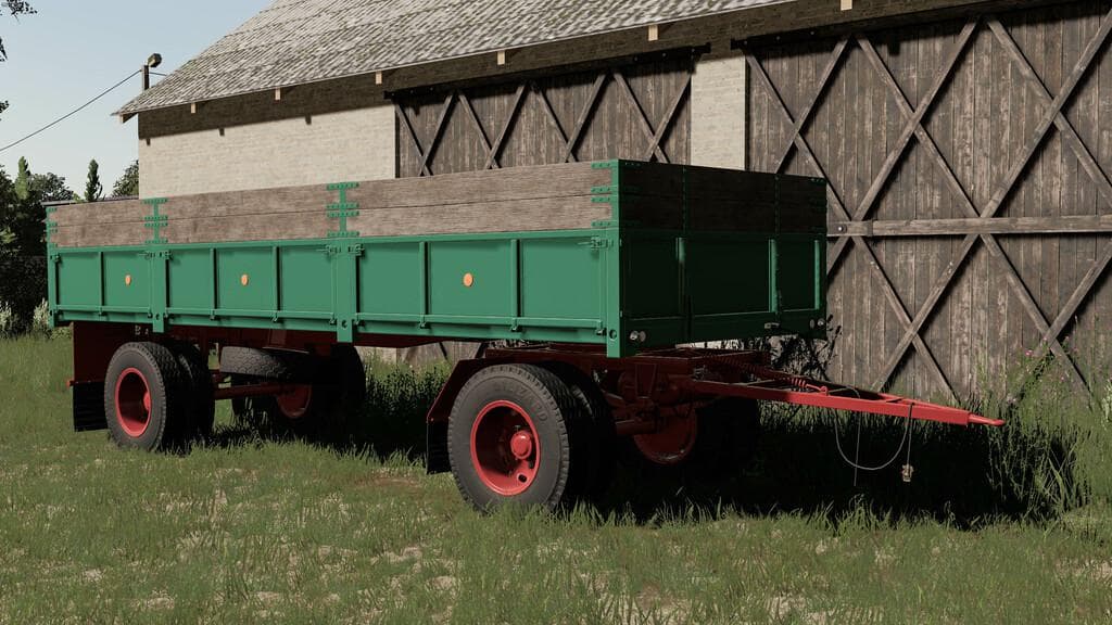 LIZARD D616 3